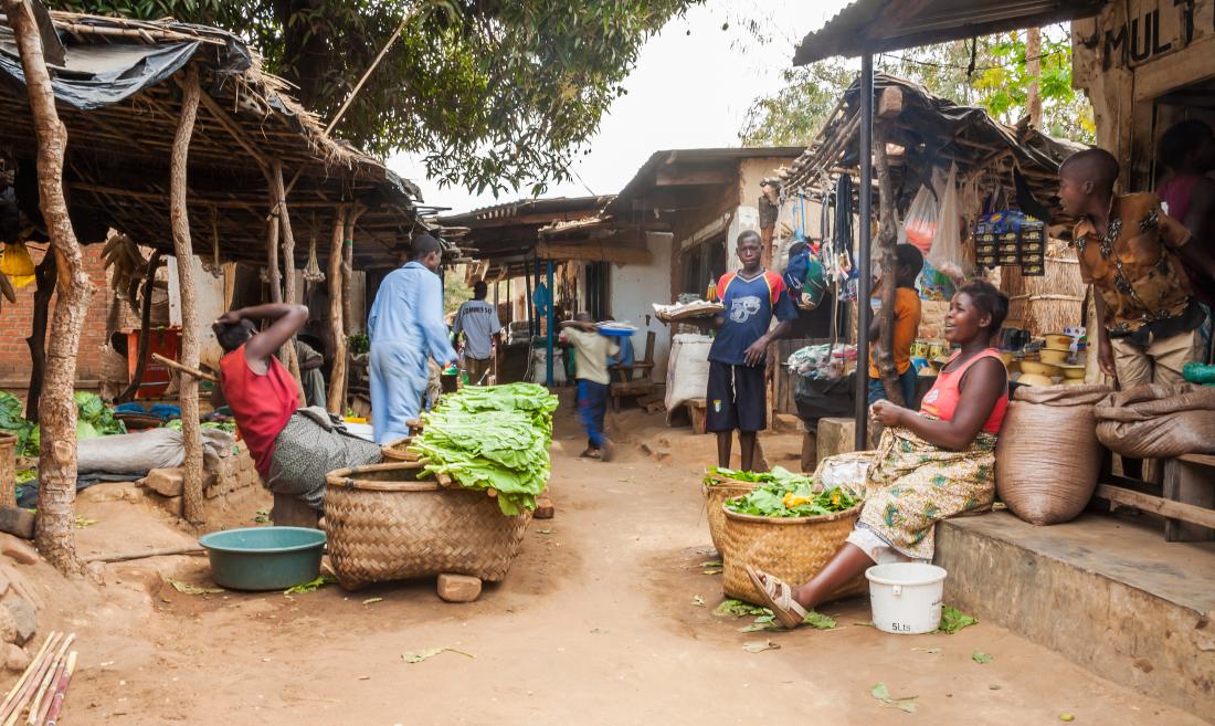 men and women at a malawian fruit market
