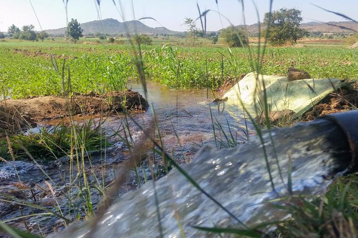 Flood irrigation used by smallholder farmers