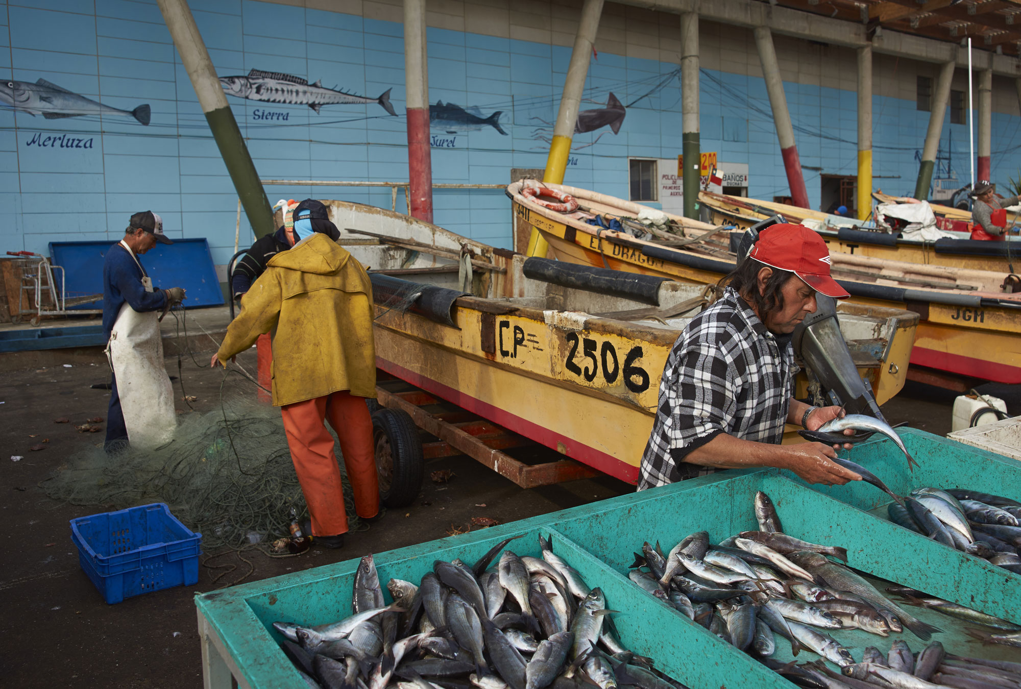 Engaging Consumers To Promote Sustainable Fishing In Chile The Abdul Latif Jameel Poverty Action Lab