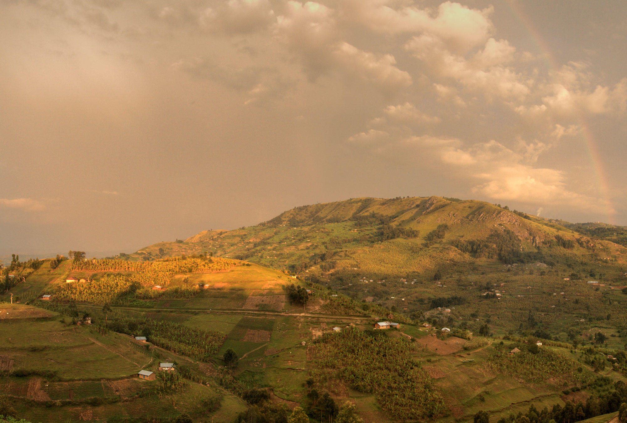 A sloping landscape in western Uganda