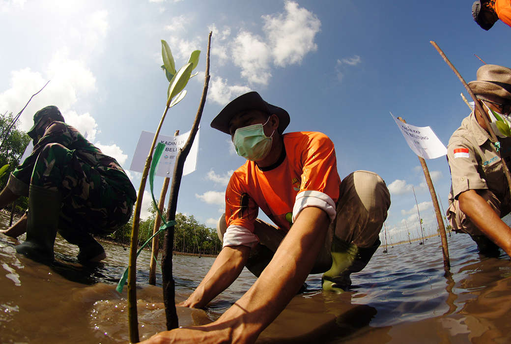 Man wearing a mask plants a crop in water next to two other men