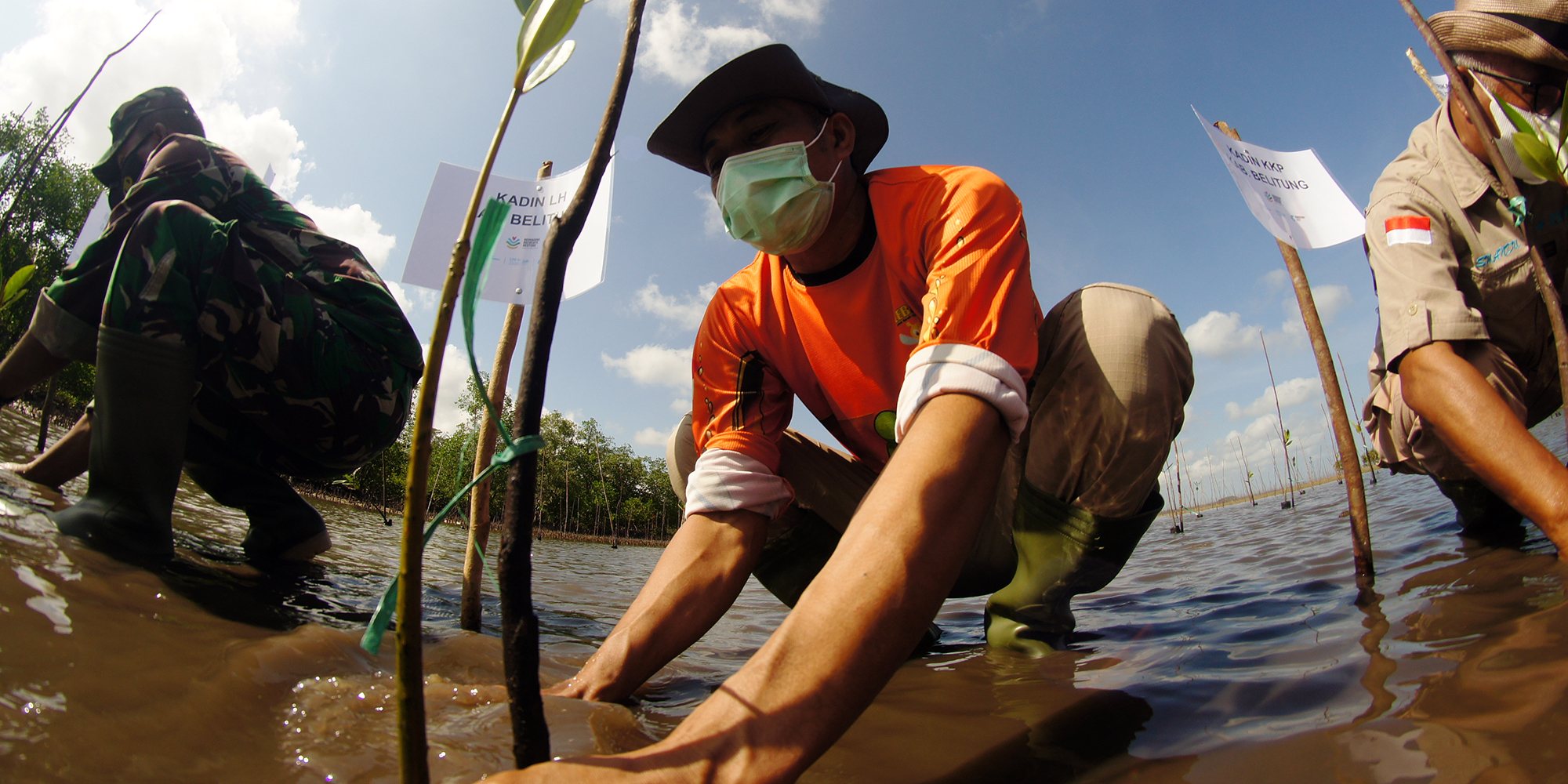 Man wearing a mask plants a crop in water next to two other men