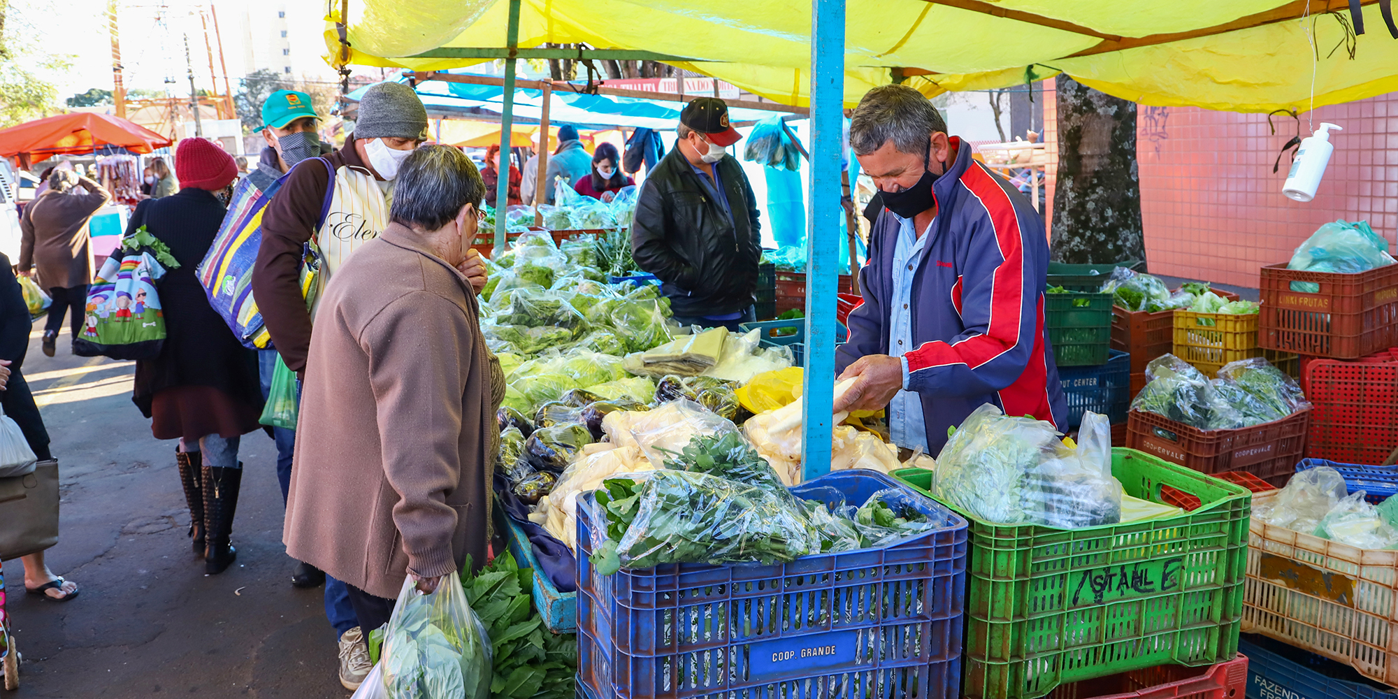 Man stands in market purchasing vegetables from a vendor