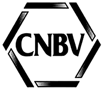 comisión nacional bancaria y