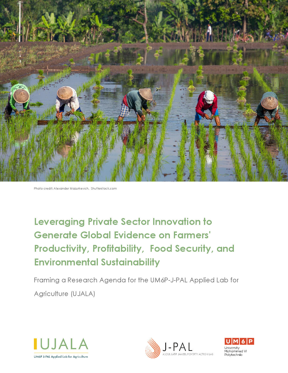 Leveraging Private Sector Innovation to Generate Global Evidence on Farmers' Productivity, Profitability, Food Security, and Environmental Sustainability
