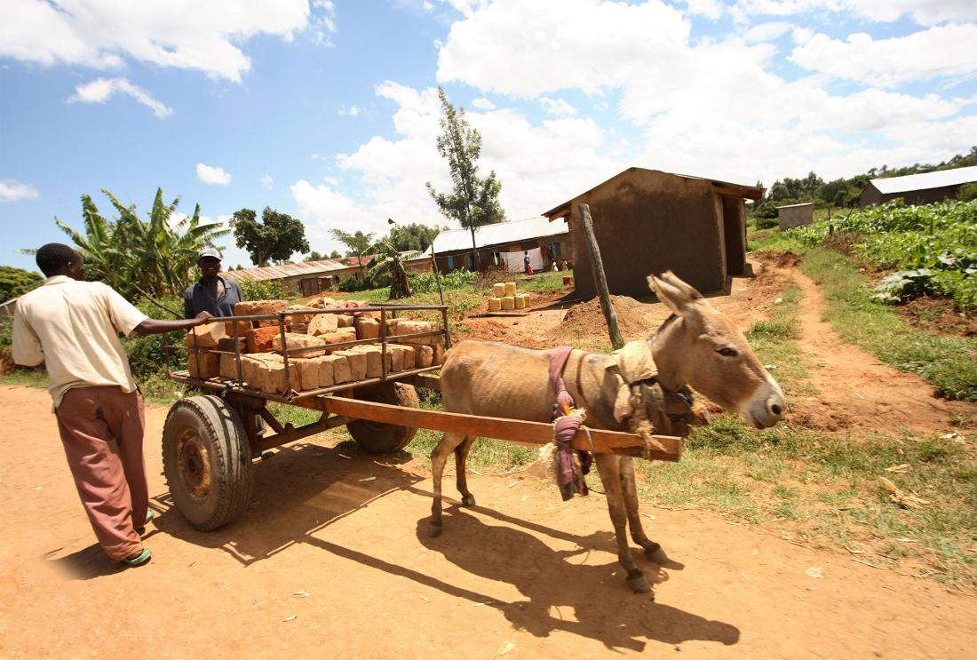 Two men with cart pulled by donkey