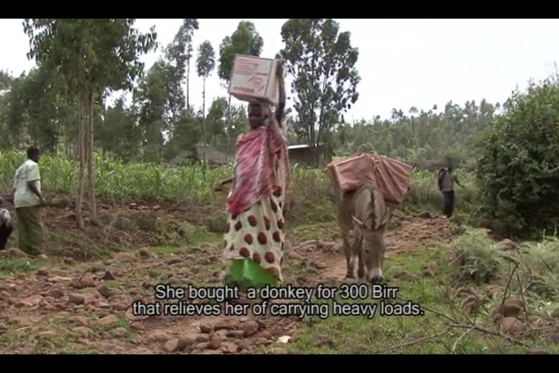 Video still of woman with donkey that reads "She bough a donkey for 300 Birr that relieves her of carrying heavy loads."