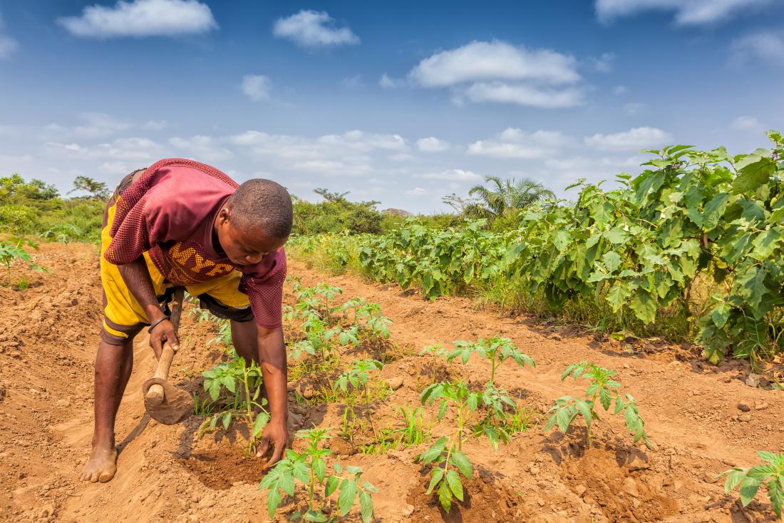 man working on a farm in Angola
