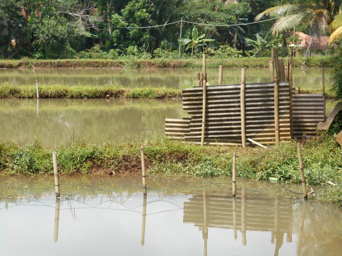 Outdoor toilet in West Java, Indonesia