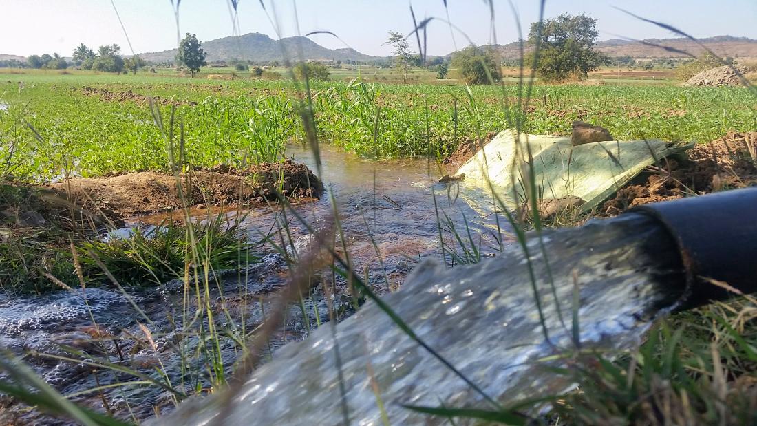 Flood irrigation used by smallholder farmers