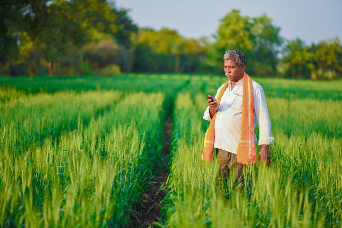 Indian man in a field talking on phone 