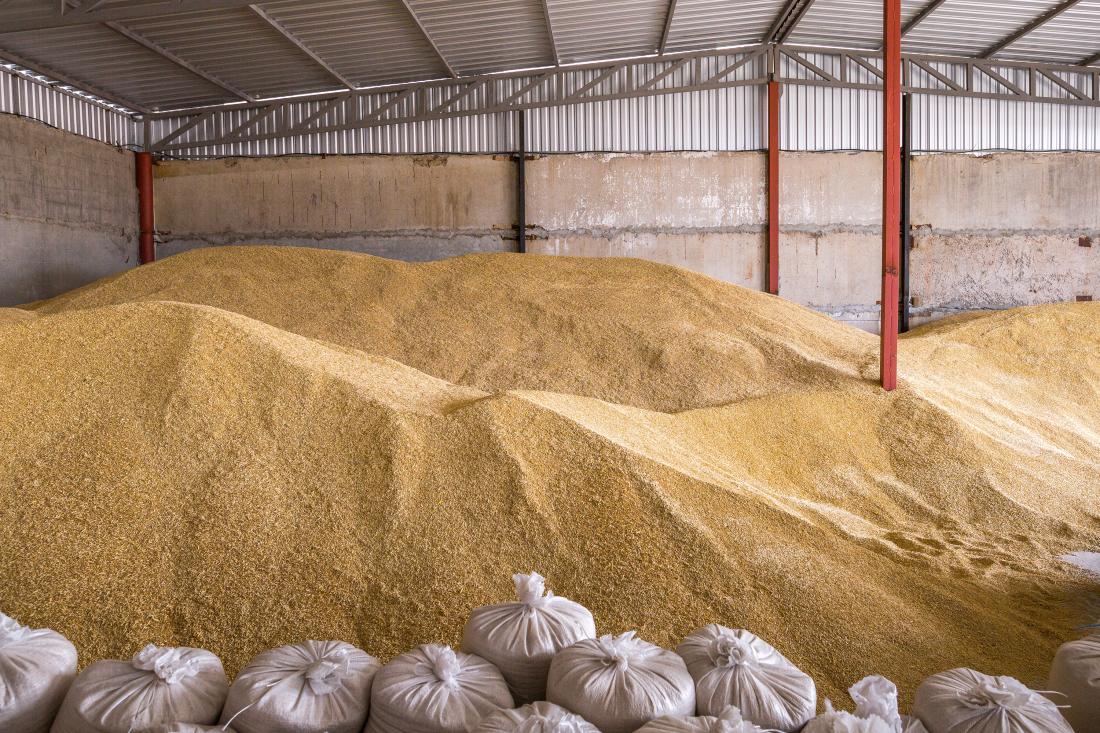 Large pile of grain in a warehouse