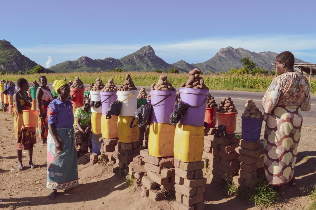 Farmers selling potatoes, Malawi J-PAL Africa evaluation summary