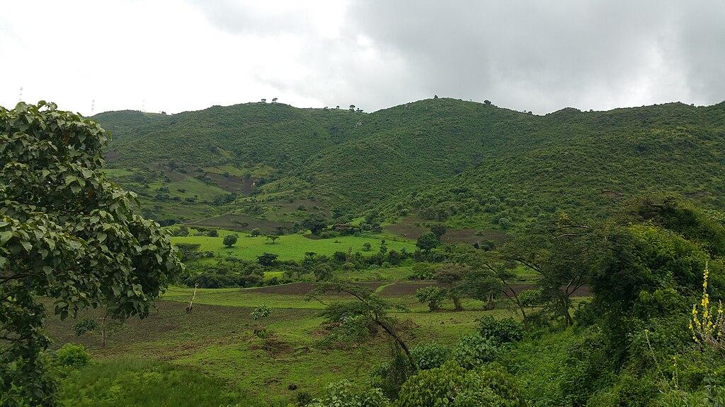 Beautiful green farm land