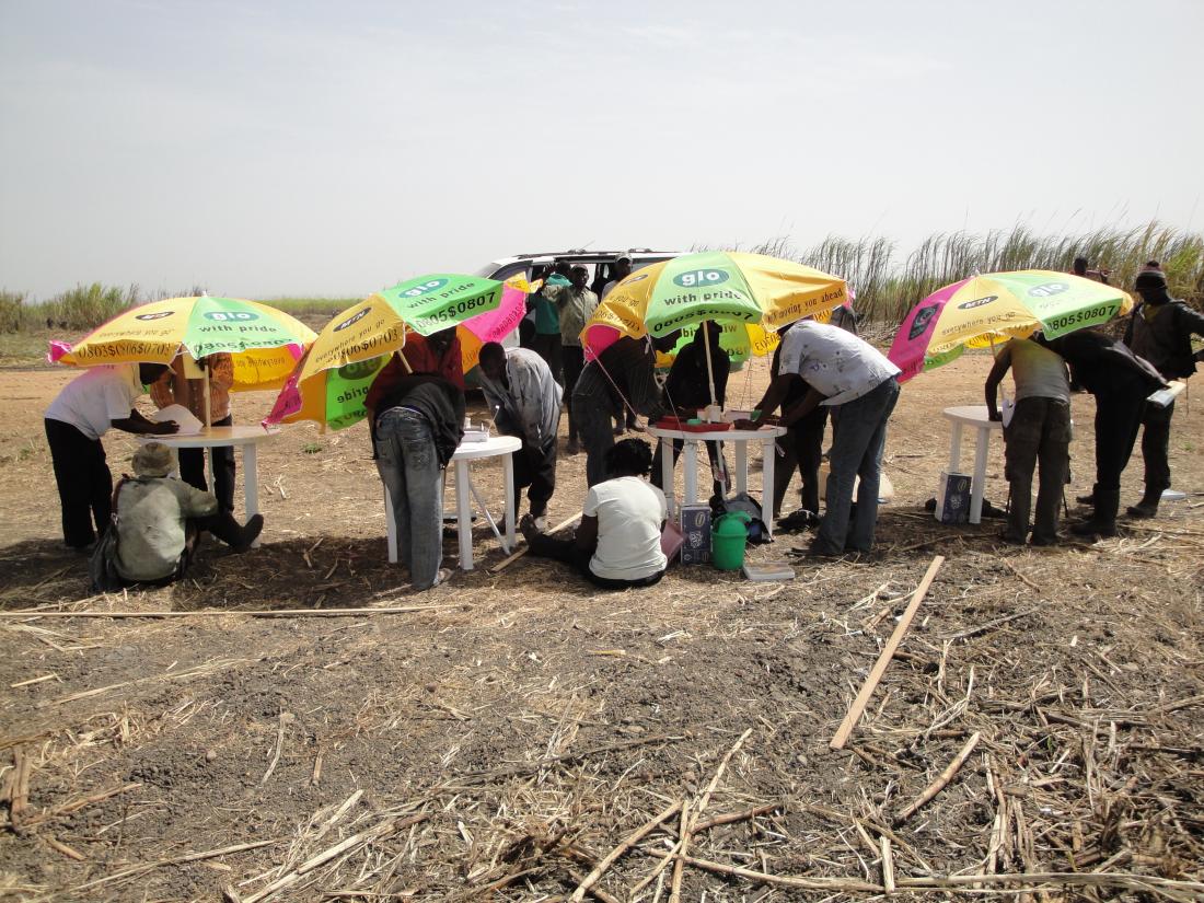 Sugarcane cutters gather under shaded umbrellas in Nigeria. 