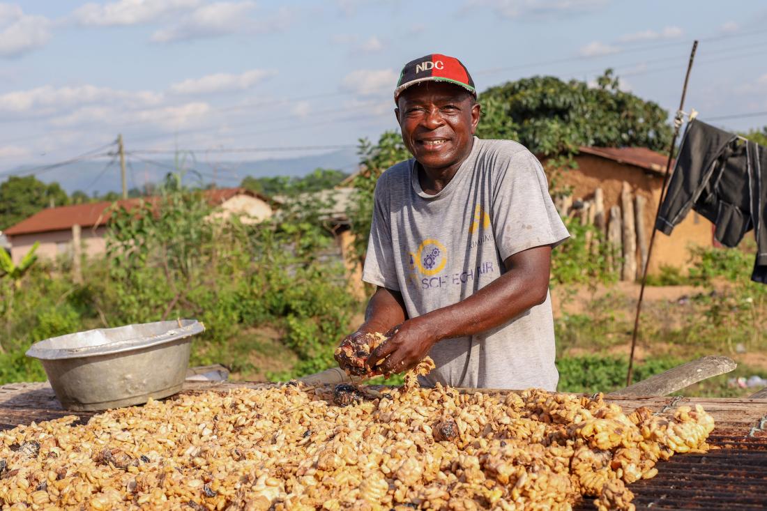 A farmer spreading cocoa beans for drying in Ghana.