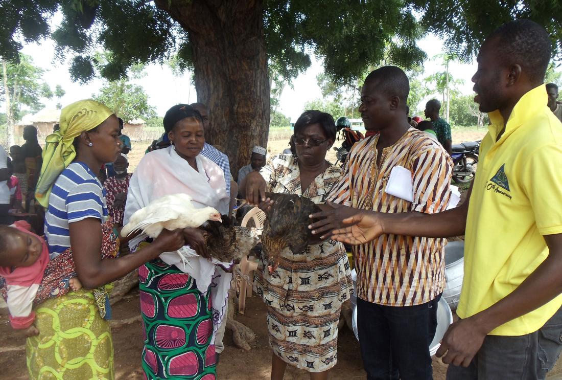 Three women hold chickens and talk to two men