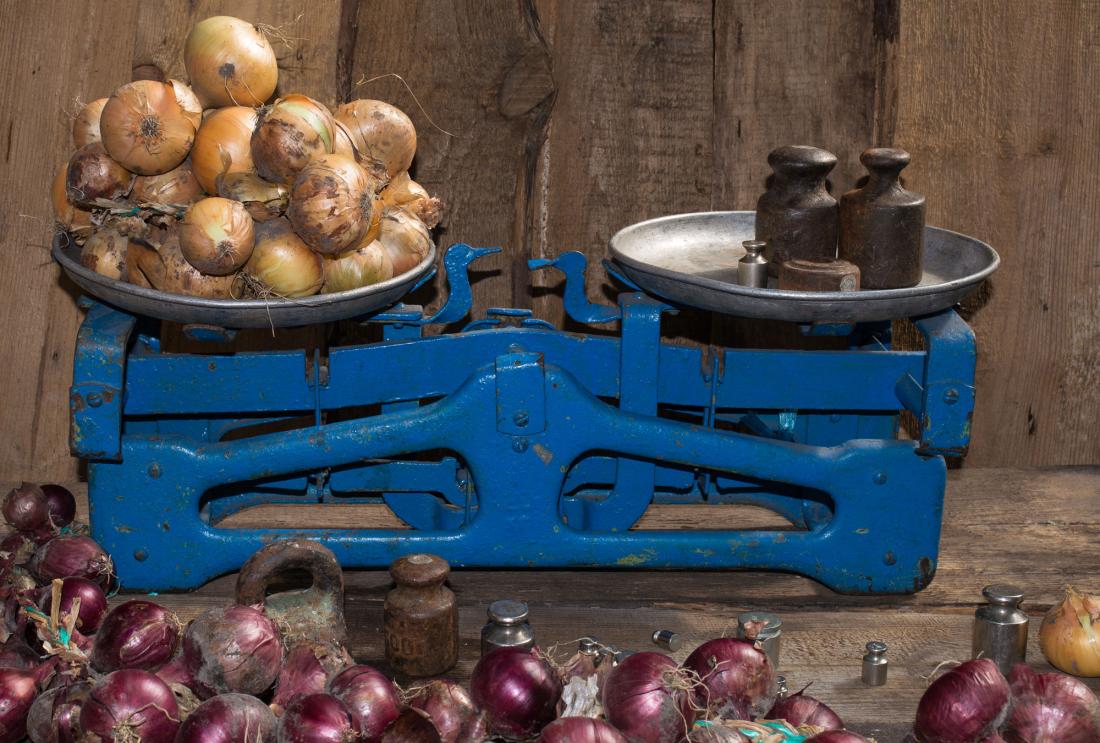 Onions being weighed by scale