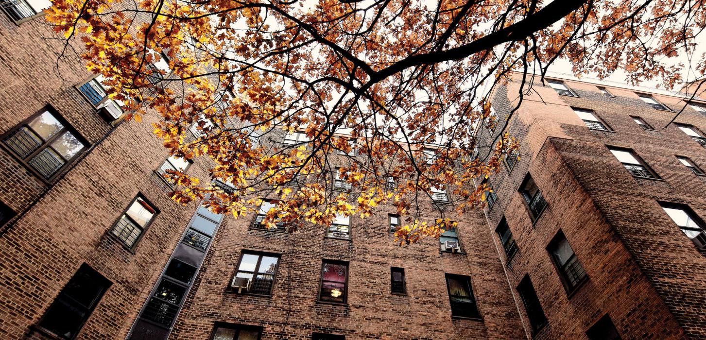 New York City Housing Authority residence