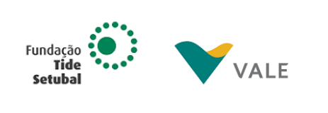 Tide Setubal Foundation logo and Vale logo