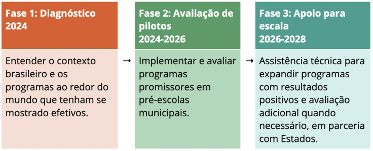 Fases do projeto com Bracell
