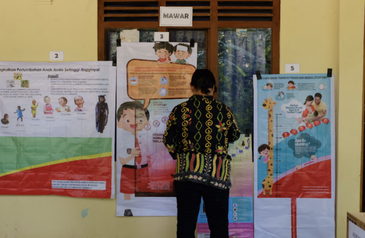 A woman stands in front of growth chart posters