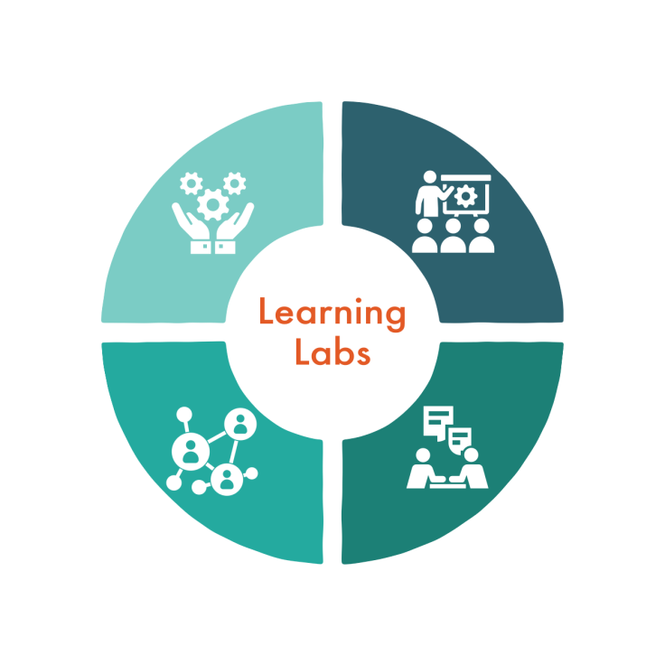 Learning labs wheel 