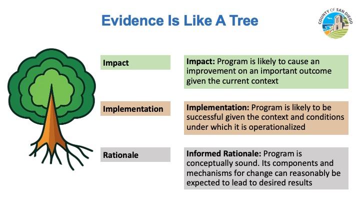 A diagram named "Evidence is like a tree" with three subtitles: impact, implementation, and rationale