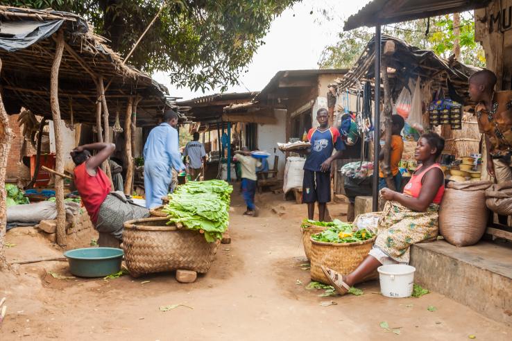 men and women at a malawian fruit market