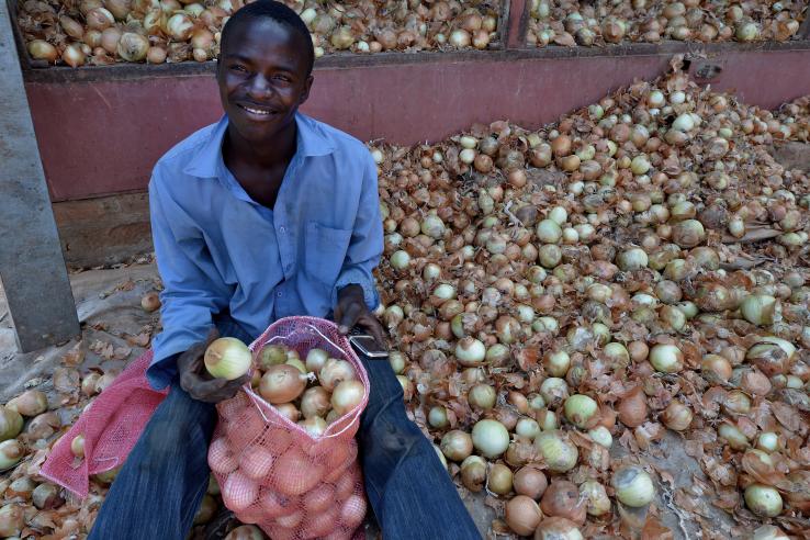 farmer sitting with his crop (onions)