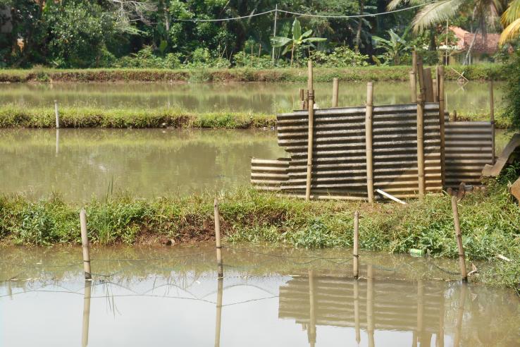 Outdoor toilet in West Java, Indonesia