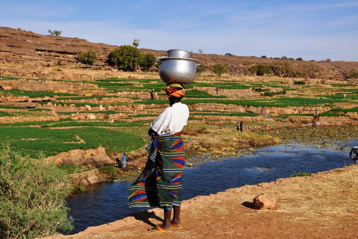  Local farmer works in the countryside near Banani village