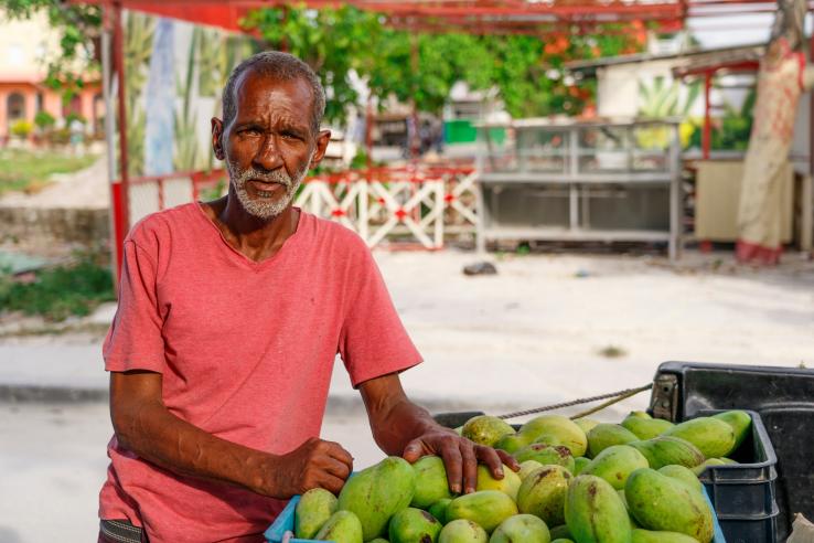 An elderly man selling mangoes in the Dominican Republic, J-PAL LAC evaluation summary
