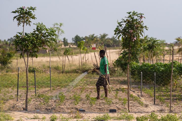 Woman watering a small field with a hose. 