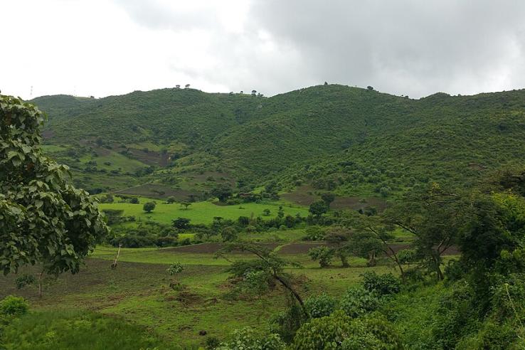 Beautiful green farm land