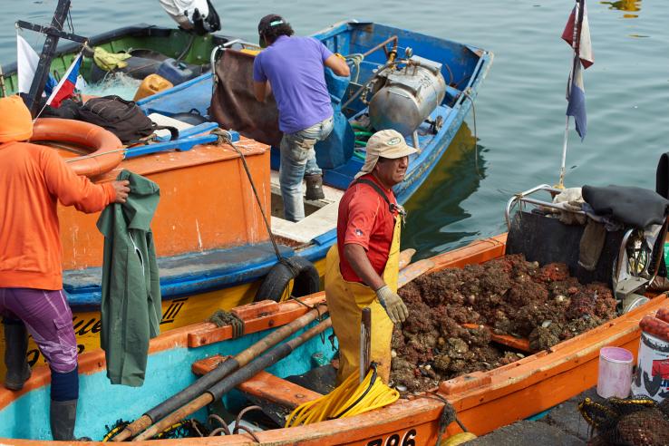 Fishermen in boats.