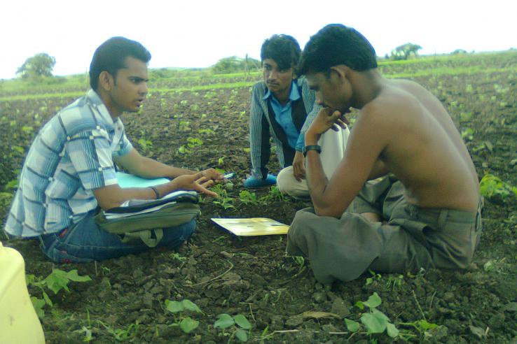 Farmers consider their options in Gujarat, India