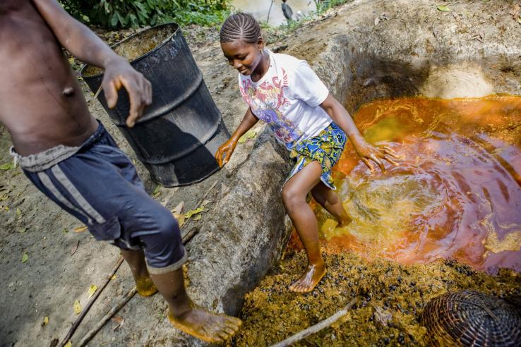 Palm oil production in Sierra Leone