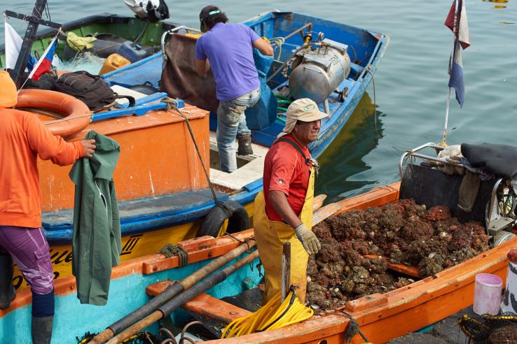 men on boats fishing