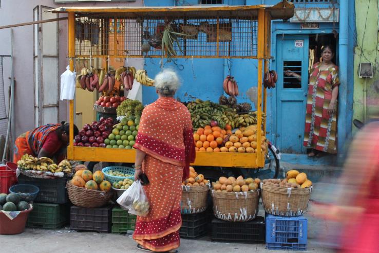 Woman in sari in front of a roadside fruit stand