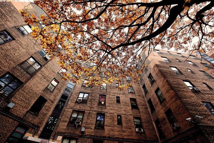 brick building and tree