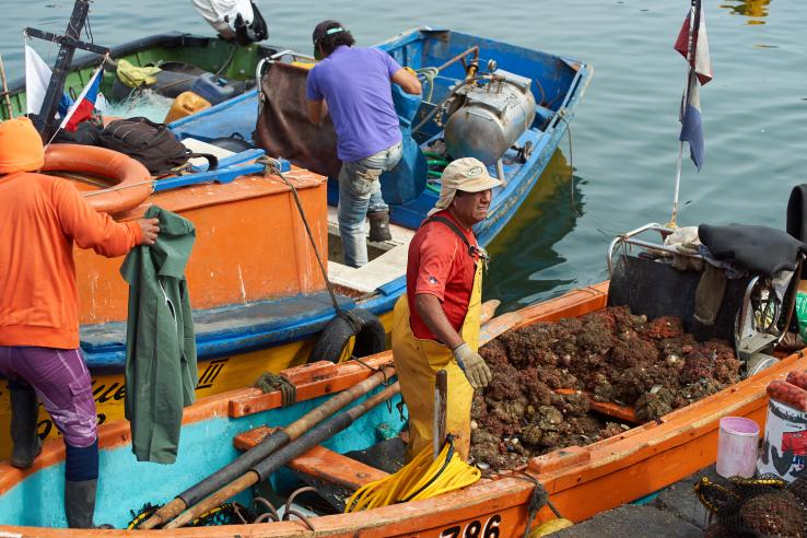 fishermen on small boats