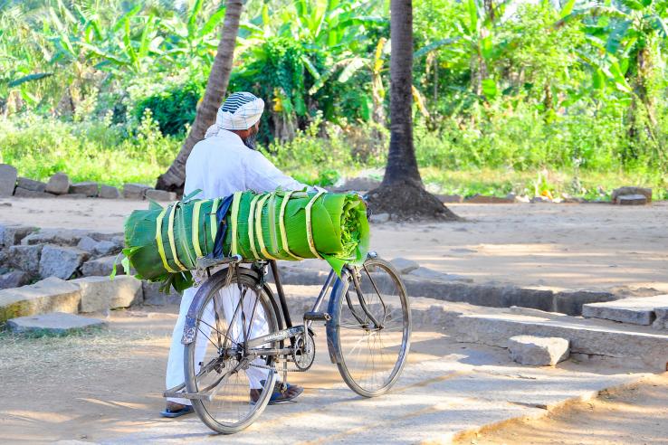 farmer in Hampi, India