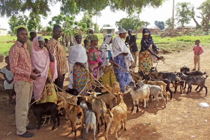 A group of people, each with a goat on a rope leash.