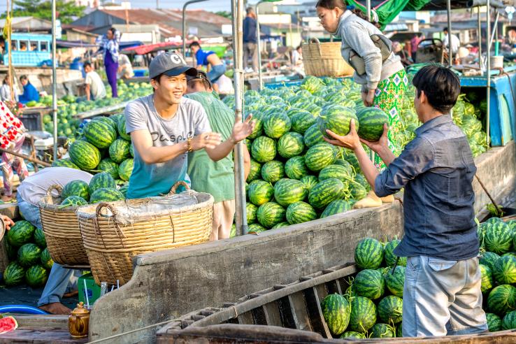 green watermelons being sold in open air market in Vietnam