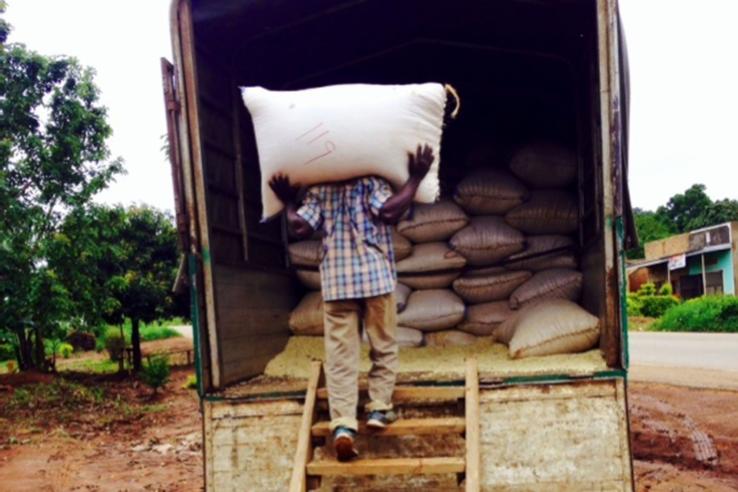 A man carries a large sack up a walkway into a truck