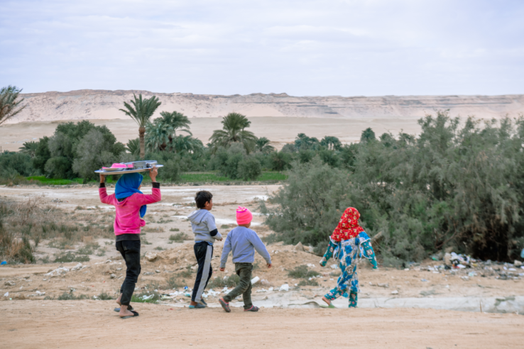 The Road to COP27: Shifting Behaviors to Address Climate Change in ...