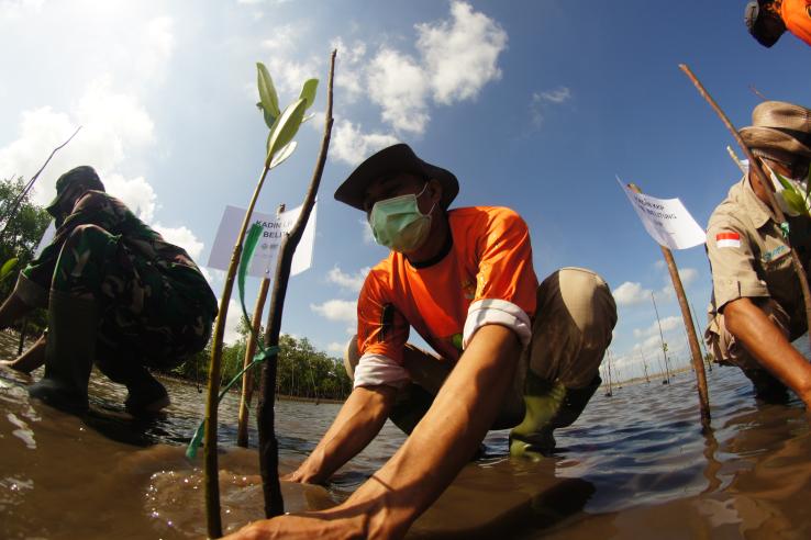 Three men planting in shallow water