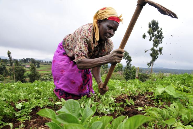 Farmer in Kenya at work in field