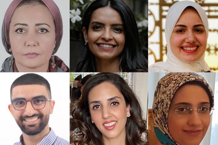 Grid display of new MENA scholars